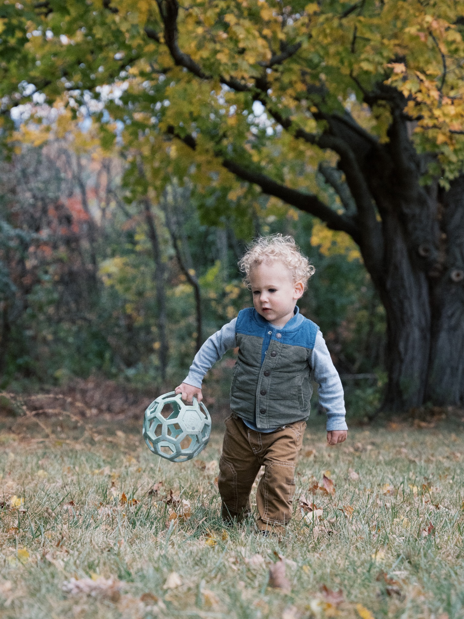 A toddler exploring an autumn yard with a ball
